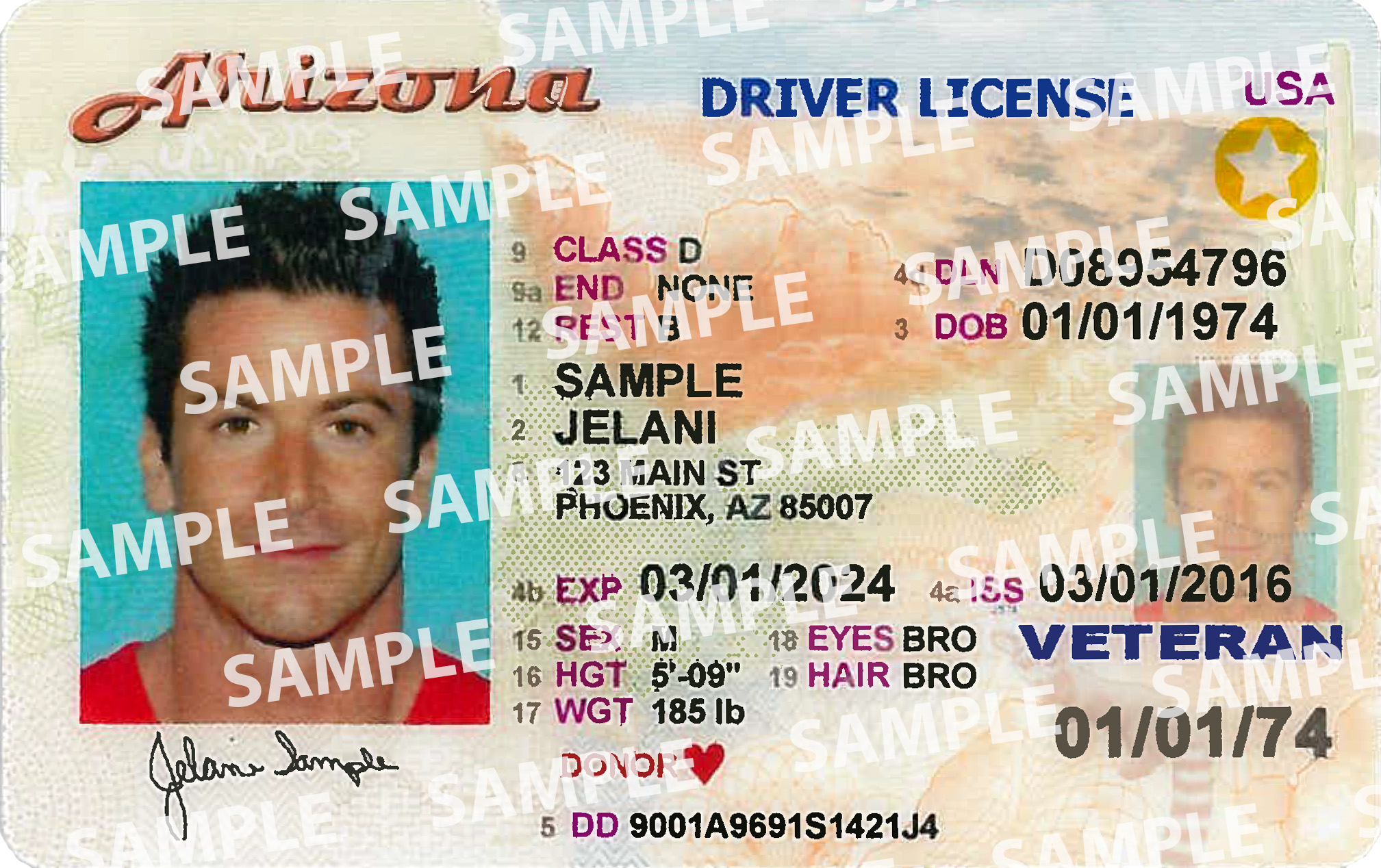 arizona travel agent license